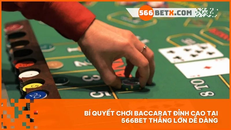 Tối ưu từng ván cược với chiến thuật chuẩn cao thủ – cùng 566BET làm chủ game bài Baccarat và bứt phá lợi nhuận ngay hôm nay!
