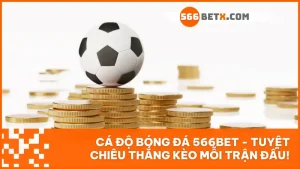 Cá độ bóng đá 566bet