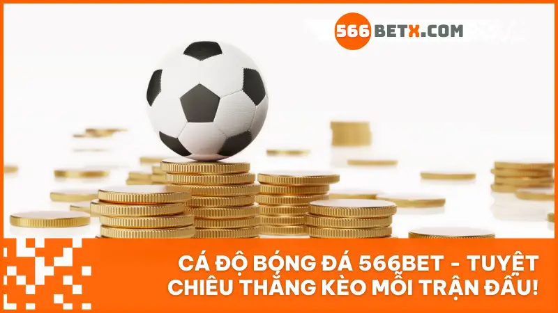 Cá độ bóng đá 566bet: Hướng dẫn chơi dễ hiểu, mẹo vào kèo chuẩn cho người mới