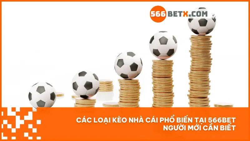 Mới chơi cá cược? Bắt đầu từ 3 loại kèo đơn giản, dễ trúng tại 566bet!