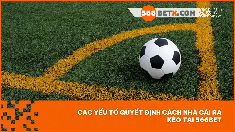 Các yếu tố quyết định cách nhà cái ra kèo tại 566bet