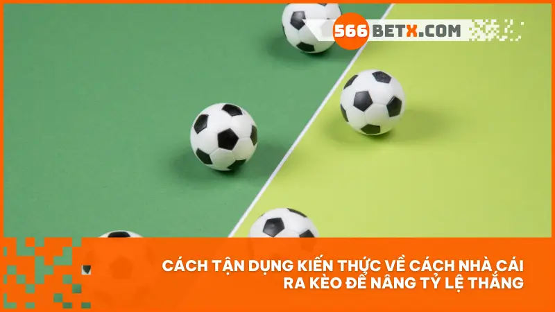 Kẻ thắng không cược theo cảm xúc, mà cược theo hiểu biết về cách nhà cái vận hành.