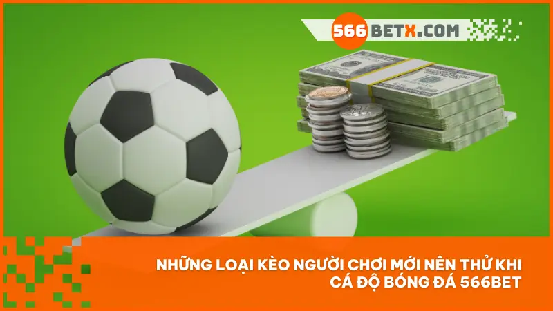 Các loại kèo dễ chơi tại 566bet – Lựa chọn thông minh cho người mới bắt đầu cá độ bóng đá.