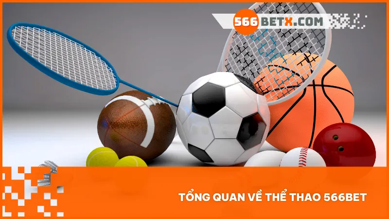 Giao diện tối ưu và dễ sử dụng giúp người chơi trải nghiệm cá cược thể thao mượt mà trên mọi thiết bị